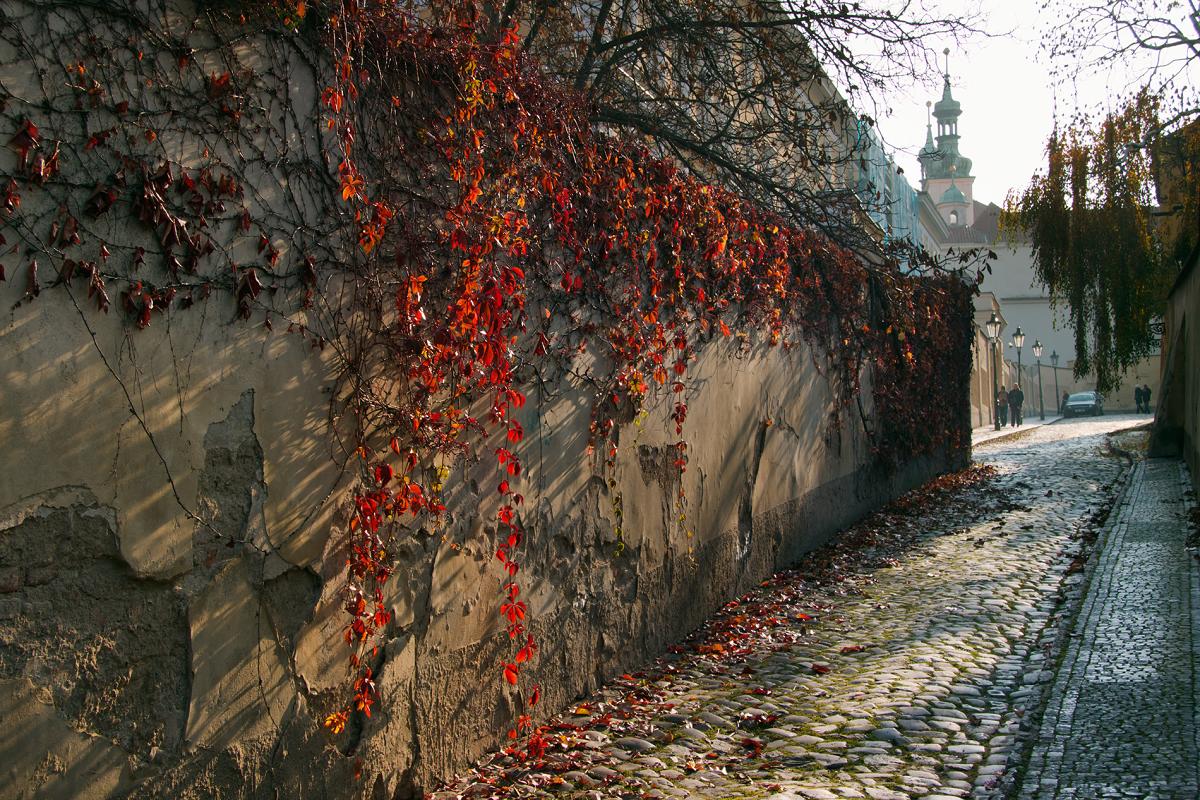 Schody do nebe - FOTOGRAFIE